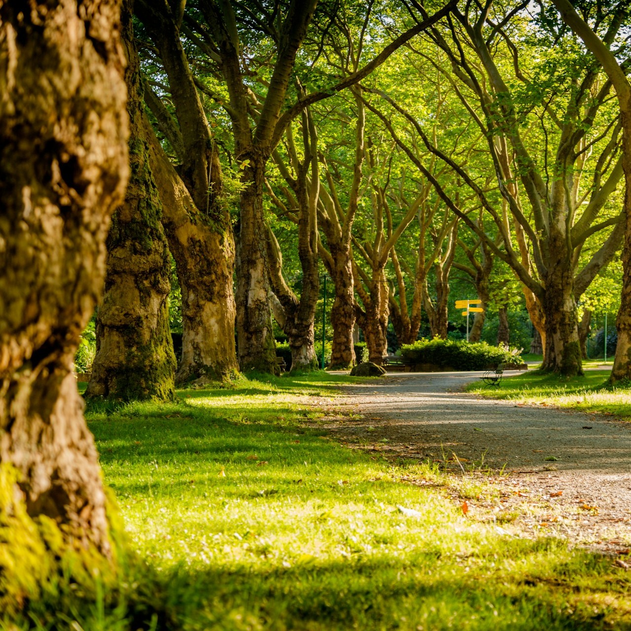 EuroParcs Kindvriendelijke Parken